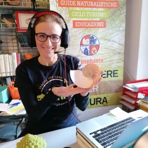 Esperta con nautilus