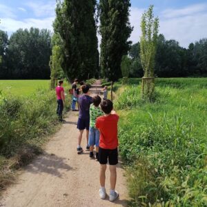 Coltivare il bosco