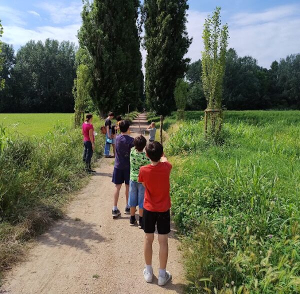 Coltivare il bosco