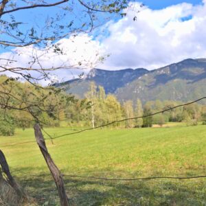 Colline delle Bregonze