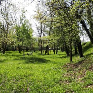 Oasi del Brenta
